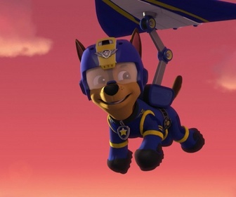 Replay Paw Patrol, la Pat'Patrouille - La tarentule des cavernes