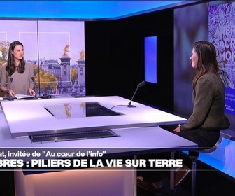 Replay Les invités du jour - Aurélie Valtat: On profite autant de l'arbre que lui profite de nous en le protégeant.