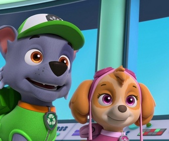 Replay Paw Patrol, la Pat'Patrouille - Le trophée de Monsieur Hellinger