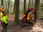 Replay Bûcheron, un métier à hauts risques - Bûcherons de haut vol