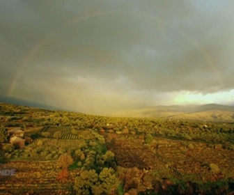 Replay Paysans du monde - Sicile : L'huile d'olive