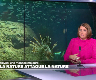 Replay Élément Terre, la quotidienne - Espèces invasives: quand la Nature attaque la Nature