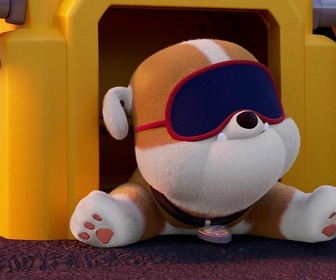 Replay Paw Patrol, la Pat'Patrouille - Cours de yoga à la montagne