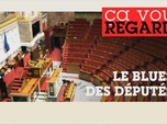 Replay Ça vous regarde - L'Assemblée nationale privée de son pouvoir ?