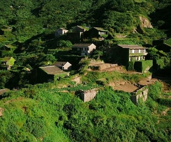 Replay Vert, comme les rizières et les plantations de théiers - Les couleurs de la Chine