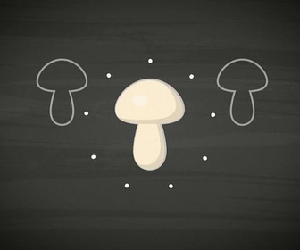 Replay ARTE Journal Junior - Wovon ernähren sich Pilze?