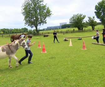 Replay Au galop ! - Quand les ânes entrent dans la course