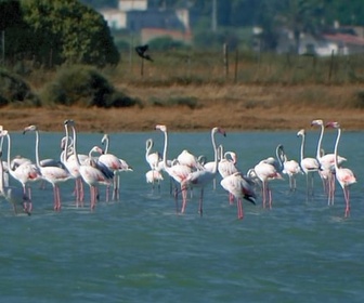 Replay L'archipel des Sulcis - Les îles italiennes