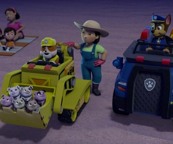Replay Paw Patrol, la Pat'Patrouille - S02 E30 - Le feu d'artifice