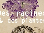 Replay Des racines et des plantes - Émission du samedi 29 avril 2023