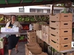 Replay Élément Terre, le reportage - En Guadeloupe, le retour de légumes et fruits anciens pour consommer local