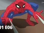 Replay The Spectacular Spider-Man - Spectacular spider-man - S01 E06 - L'invitation