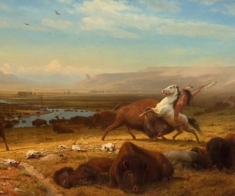 Replay Mémoire de sang - Bison : une histoire de l'Amérique (1/2)