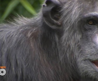 Replay Une saison au zoo - S12 E44