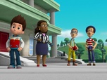 Replay Paw Patrol, la Pat'Patrouille - Drôles d'oiseaux