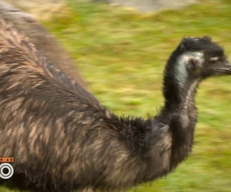 Replay Une saison au zoo - S13 E1
