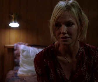 Replay New York Unité Spéciale - S21 E10 - A malin, malin et demi