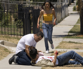 Replay The Closer : L.A. Enquêtes prioritaires - La blonde et le tueur a gages