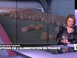 Replay Élément Terre, la quotidienne - Santé: les diverses pollutions de l'alimentation en France