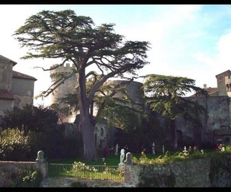 Replay Les Médicis : maîtres de Florence - S3 E3 - La porte du passé