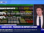 Replay Le Dej' Info - Agriculture : Pourquoi on importe autant - 29/01