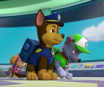 Replay Paw Patrol, la Pat'Patrouille - Le jour des élections