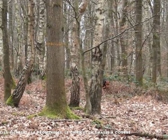Replay M6+ Crime - Elisa Pilarski : la promeneuse, le chien et la chasse à courre