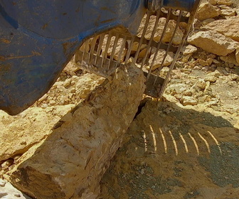 Replay Zoo: Le défi de demain - S3E2 - Une erreur grossière