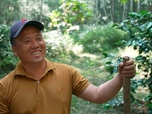 Replay Laos - Les nouveaux sanctuaires de la nature