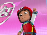 Replay Paw Patrol, la Pat'Patrouille - Sauvetage extrême : Une mission en montagne