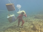 Replay Philippines : les petits forçats de l'or / Inde : coups gagnants - ARTE Reportage