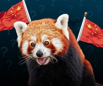 Replay Pourquoi les pandas (roux) sont-ils aussi des outils de la diplomatie chinoise ?