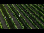 Replay Vague de chaleur en France : agriculture, écoles, trains et santé sous tension