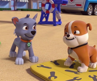 Replay Compilation Paw Patrol, la Pat'Patrouille 19