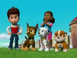 Replay Paw Patrol, la Pat'Patrouille - Sauvetage Extrême : Les championnats de la Grande Vallée