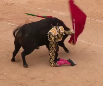 Replay Les jours de la corrida sont-ils comptés ?