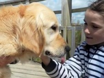 Replay La maison des Maternelles - Héloïse, 11 ans, diabétique : jamais sans mon chien !