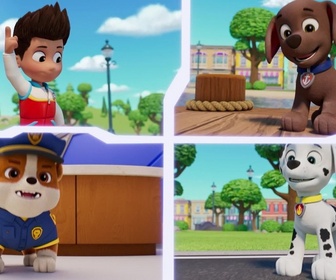 Replay Paw Patrol, la Pat'Patrouille - Mission Détectives : Marjorie a disparu