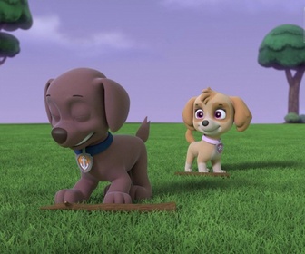 Replay Paw Patrol, la Pat'Patrouille - Un concert de Woof
