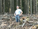 Replay Urgence climatique : un défi mondial - Gestion des forêts : les coupes rases font débat