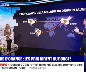 Replay Pourquoi les prix du jus d'orange augmentent? BFMTV répond à vos questions