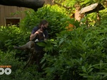 Replay Une saison au zoo - S14 E14