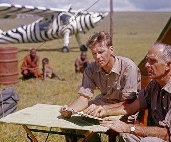 Replay L'homme du Serengeti : Bernhard Grzimek