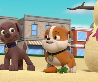 Replay Paw Patrol, la Pat'Patrouille - Le requin cascadeur