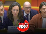 Replay 100% Sénat - Zones grises de l'information : audition de TikTok, Vakita, Vert et Reporterre