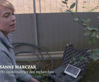 Replay Au coeur du zoo le plus beau du monde - S1E2 - Yéti et bébés