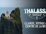 Replay Thalassa, aventures extrêmes - 27/04/2026