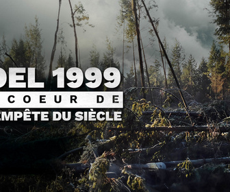 Replay Noël 1999 : Au coeur de la tempête du siècle