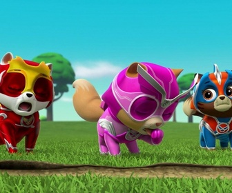 Replay Compilation Paw Patrol, la Pat'Patrouille 9