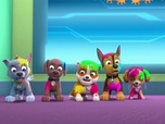 Replay Paw Patrol, la Pat'Patrouille - La journée de l'Amitié - 22'